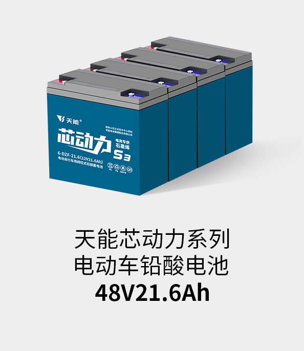 3044am永利电池48v20ah