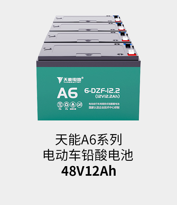 3044am永利电池48v12ah
