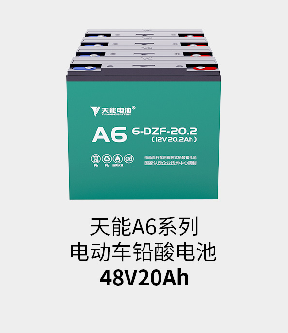 3044am永利电池48v20ah