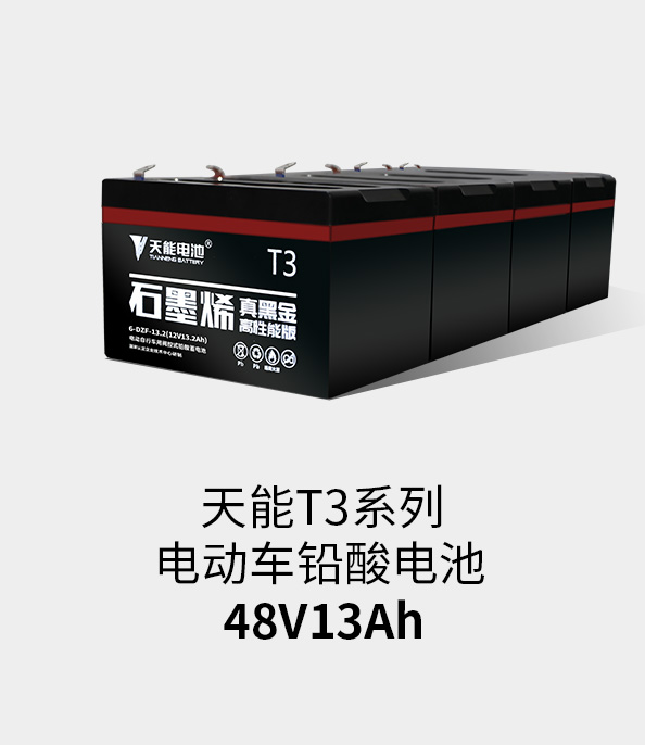 3044am永利T3系列48v13ah