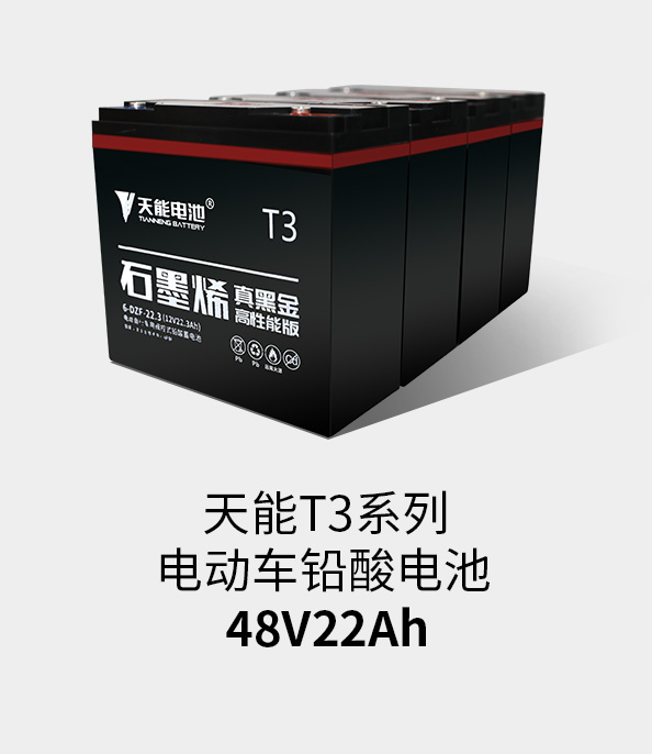 3044am永利T3系列48v22ah